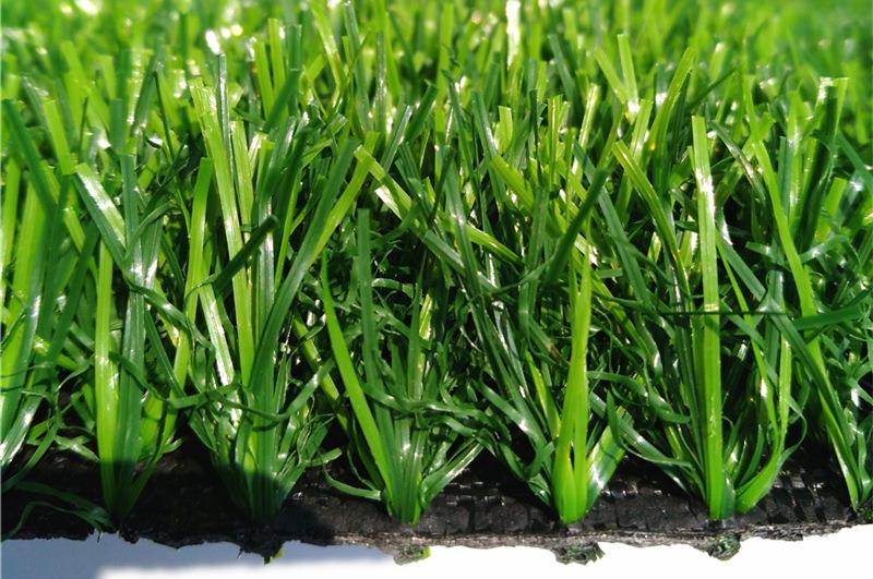 artificial grass outdoor
