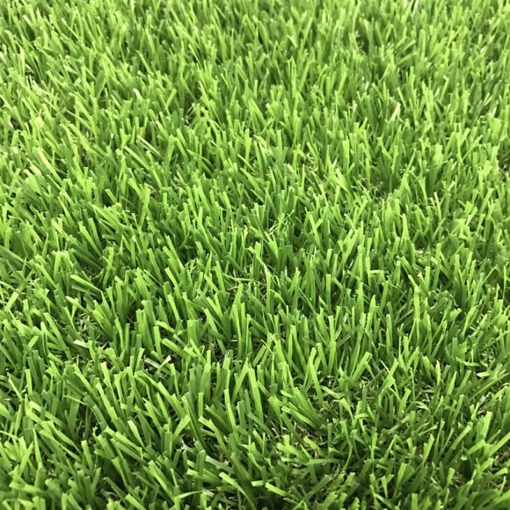 Pool Artificial Grass